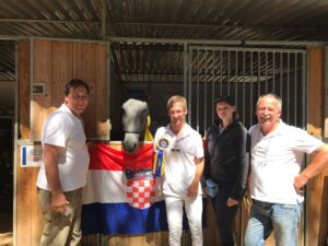 Somma lombardo slika