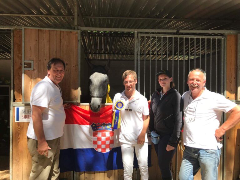 Somma lombardo slika